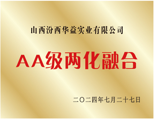 AA级两化融合